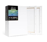 Elan Toile Peinture 20x30, Lot de 6 Toiles à Peindre 100% Coton, 280GSM Canvas Painting 20x30, Toile à Peindre, Chassis Entoilé, Canvas 30x20