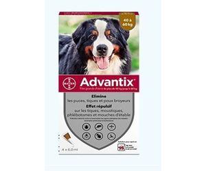 ELANCO Advantix 4 x 6,0 ml Pipette(S) Unidose(S) 24