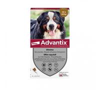 ELANCO Advantix 6 x 6,0 ml Pipette(S) Unidose(S) 36