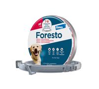 ELANCO Foresto Collier pour chiens de plus de 8 kg
