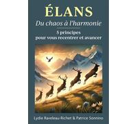 Élans Du chaos à l'harmonie - 5 principes pour vous recentrer et avancer - Patrice Sonnino - Librinova - broché - Guide