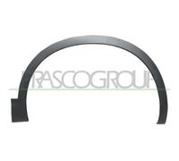 Élargissement Aile Prasco DS7101582 Premium pour Nissan Avant Gauche