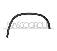 Élargissement Aile Prasco VG8071584 pour VW Arrière Gauche