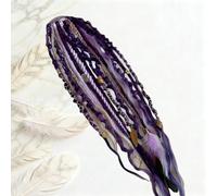 Elastic Dread Ponytail, 22" Braided Ponytail Extension, Bohemian Dreadlock Ponytail, Easy 1-Minute Clip-In Ponytails for Festival, Travel & Casual (Purple)