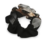 Élastiques à cheveux, chouchou imprimé teckel pour femme, sans couture, accessoires pour cheveux sans douleur, parfaits pour les tresses durables, les queues de cheval et plus encore