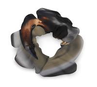 Élastiques à cheveux chouchous avec imprimé Doberman, élastiques à cheveux, accessoires pour cheveux doux, adaptés à tous les types de cheveux