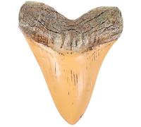 ELAYARD 1 Modèle Décoration en Résine Ornement Rétro Résistant la Décoloration Léger Compact pour Passionnés de Préhistoire Décoration Éducative