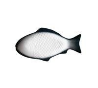 ELAYARD Assiette Créative Forme Poisson Céramique Plat de Service Snack pour Maison et Restaurant Couleur Vert Foncé Design Unique et Multifonctionnelle