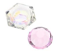 ELAYARD Bol de Acrylique pour Ongles Couvercle Récipient Transparent pour Nail Art Facile à Nettoyer pour Manucure à Domicile Outils de Beauté Solide