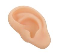 ELAYARD Modèle d'Oreille en Silicone pour Enseignement 1 Pièce Design Pratique et Portable Outil de Simulation pour Étudiants et Médecins