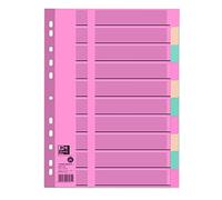 Elba 400011409 Intercalaires Registre de papier cartonné pages blanches, tableau mémo Couverture Pastel, 3 couleurs, avec perforés, 10 onglets, 10 pièces, A4, 225 x 297 mm, 110 g/m²