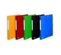 Elba Boston Lot de 12 Boîtes de classement 24 x 32 cm Assortis