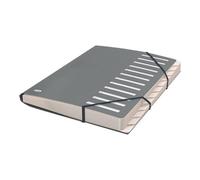 Oxford Trieur Business en polypropylène mat opaque 12 intercalaires A4 Gris