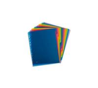 Elba Intercalaire School Life 12 Touches Polypropylène Translucide A4, Coloris Assortis