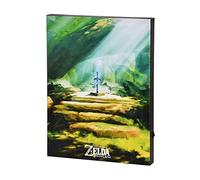 Elbenwald Zelda Épée de maître Tableau mural avec lumière Alimenté par batterie 30 x 40 x 3,8 cm