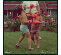 Elbow - Flying Dream 1 (Vinyl Green)