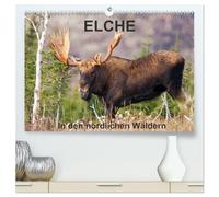 ELCHE In den nördlichen Wäldern (hochwertiger Premium Wandkalender 2026 DIN A2 quer), Kunstdruck in Hochglanz: Begleiten wir den Elch in ... 13 tolle Fotos von diesen stillen Riesen.