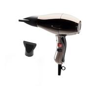 Elchim 3900 Healthy Ionic Sèche-cheveux Titanium avec prise Schuko - Sèche-cheveux professionnel fabriqué en Italie - Léger et silencieux, pour des cheveux sains, 30% de temps de séchage réduit, 2400