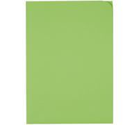 ELCO 29466.62 Ordo Organizer Discreta, 220 x 310 mm, 120 G, Intense-Green