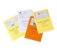 ELCO Sichtmappe Ordo classico 29489.31 A4 blau 100 St./Pack.