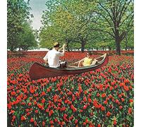 Elder Brother - Stay Inside