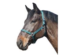 Eldorado Halter Pour Chevaux Standard - Vert - Poney Halter Pour Poney