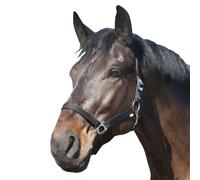 Eldorado Licol Standard - Noir - Cheval De Sang Chaud Licol De Paddock