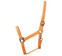 ELDORADO Licol Standard - Orange - Licol Pour Cheval De Sang Chaud