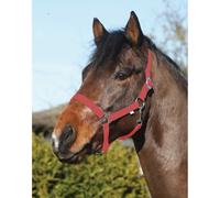 Eldorado Licol Standard - Rouge - Cheval De Sang Chaud Licol De Paddock