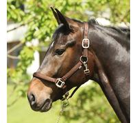 ELDORADO Nylon Licol Léa - Marron - Licol Pour Chevaux De Sang Chaud