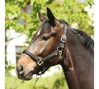 Eldorado Nylon Licol Pour Cheval Lea - Noir - Licol Pour Cheval De Sang Chaud