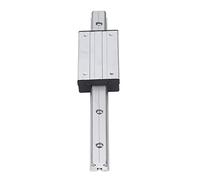 Eleage Guide de Rail Linéaire en Acier Durable de 300 Mm pour le Mouvement Efficace des Machines CNC