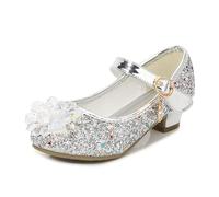 Eleasica Fille Chaussures de Princesse Reine des Neiges Elsa Chaussures pour Déguisement Cendrillon Talon Haut Cristal Fleur Paillettes Noël Carnaval Soirée Mariage Cocktail,Argenté,28