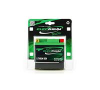 Electhium 312080 Batterie, YBR
