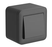 Electraline 60482 Boîtier de surface avec inverseur FIXA, 10A, noir, IP40, compatible pour installation avec tube rigide et canalisation