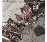 Electric Bird Digest by The Young Fresh Fellows