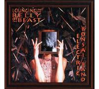Electric Bonsai Band - Lounging in Belly of The B