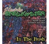 Electric Breakwater with Mark Egan and Rodney Holmes - In The Bush (US Import)
