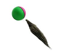 Electric Cat Ball Toy, Interactive Automatic Rolling Toy Ball, Nutria Kitten Ball, Battery Powered Toy For Cats, Cat Exercise Toy Ball, Rolling Toy For Cats, Interactive Cat Ball For Playing