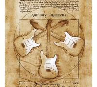 Electric Fingerstyle Guitar