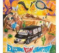 Electric Fly Swatter - Night Flyer [Vinyl]