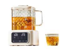 Electric Kettle 1L Glass Health Pot With Microcomputer Temperature Control & Boil-Dry Protection, Multifunctional Electric Tea Keeper With Borosilicate Glass, Hot Water Warmer For Tea
