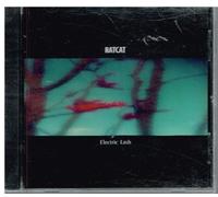 Electric Lash EP : Songs of The Church and Steve Kilbey