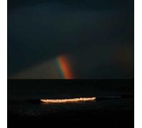 ELECTRIC LITANY - UNDER A COMMON SKY (BLACK VINYL) VINYL LP NEUF