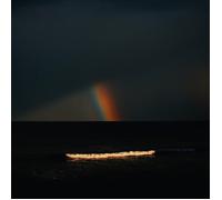 Electric Litany - Under a Common Sky (Vinyl Coloured EDT.) [Import]