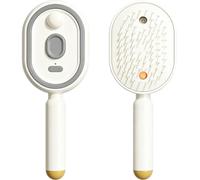 Electric Mist Hair Brush with Water Spray, Air Cushion Massage Comb, Rechargeable USB-C Detangling Hair Brush with One-Button Hair Removal, Portable Hair Care Tool for Women (WHITE)