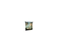 SOPAR Electric Professional 5304 - écran de projection - 125 po ( 318 cm )