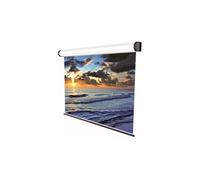 Electric Professional - Ecran de projection - montable au plafond, montable sur mur - motorisé - 220 volts - blanc - blanc, RAL 9010