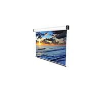 Electric Professional - Ecran de projection - montable au plafond, montable sur mur - motorisé - 230 V - 118" (300 cm) - 4:3 - ICEBERG - blanc, RAL