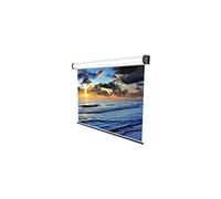 Electric Professional Standard - Ecran de projection - montable au plafond, montable sur mur - motorisé - 230 V - 167" (424 cm) - 1:1 - ICEBERG -